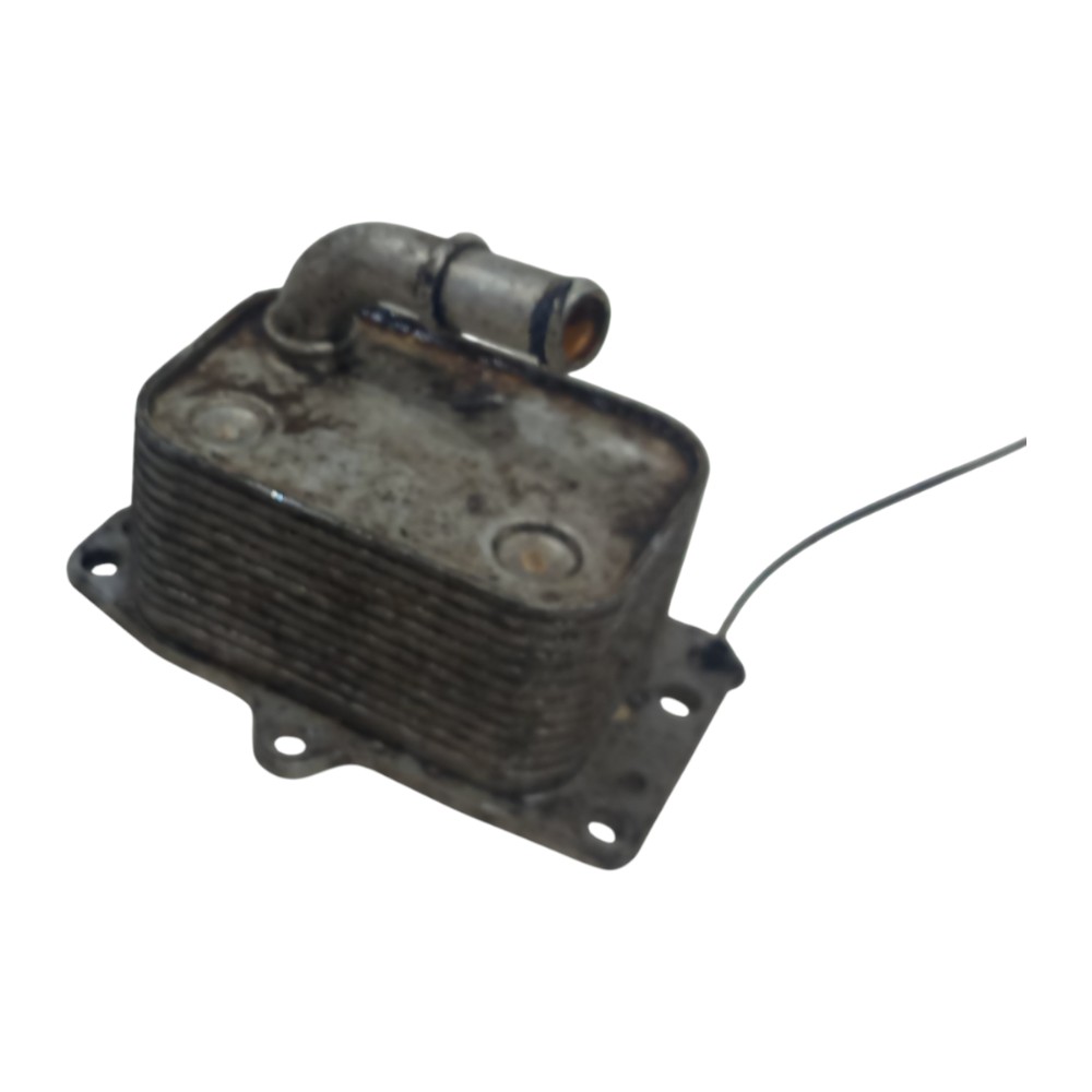Resfriador Radiador Citroen C4 Picasso 2.0 2007 2008 A 2014 1