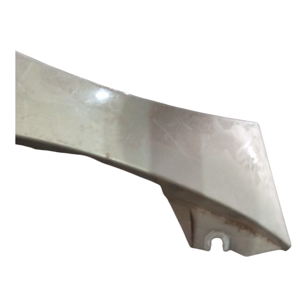 Paralama Dianteiro Direit Renault Scenic 2003 2004 A 2011 7