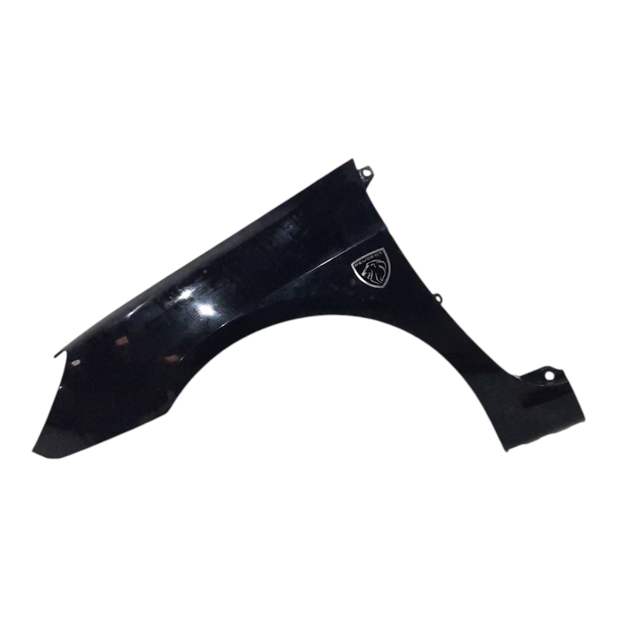 Paralama Lado Esquerdo Peugeot 307 2004 A 2013 6