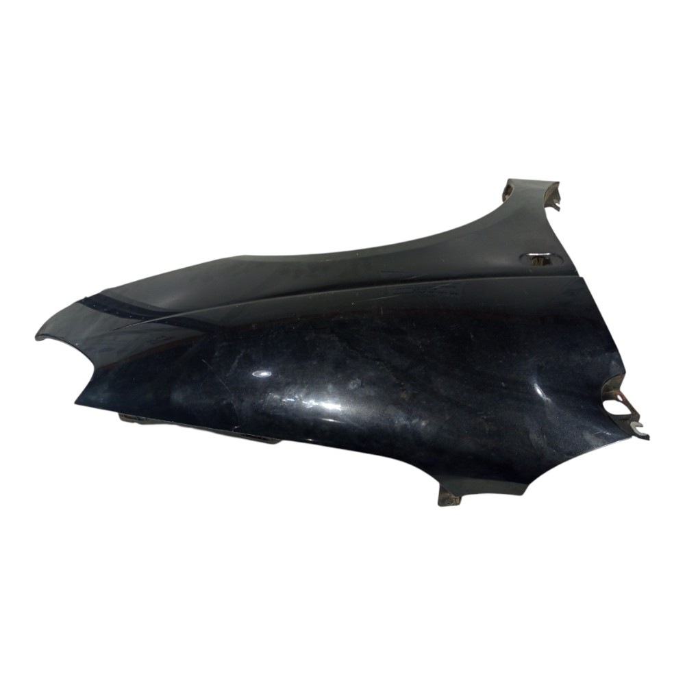 Paralama Dianteiro Renault Scenic Preto 2001 A 2011 4