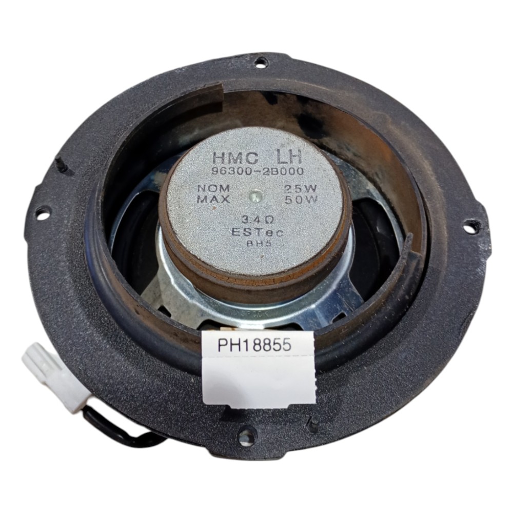 Alto Falante Traseiro Esquerdo Hyundai Santa Fe 2007 A 2012 6