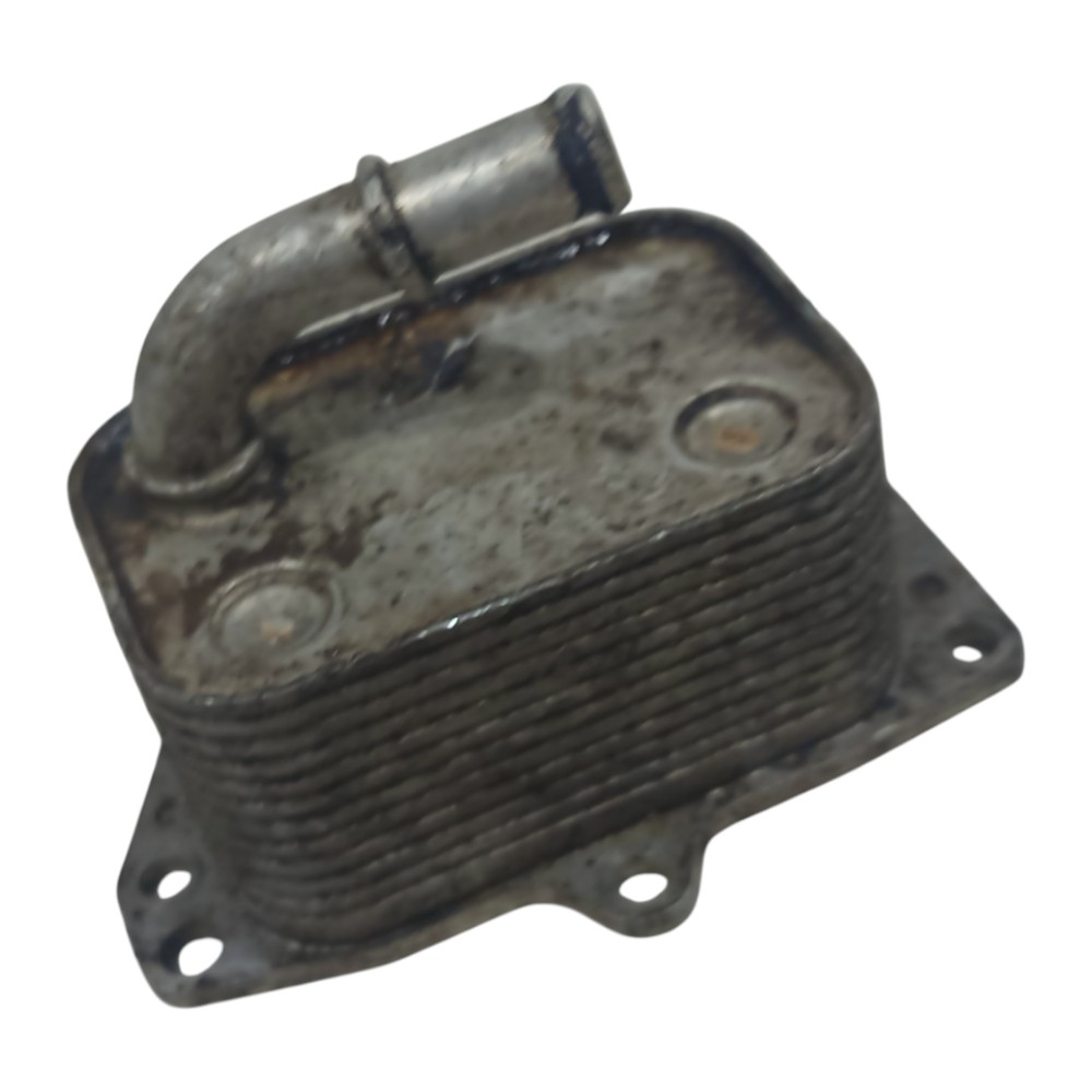 Resfriador Radiador Citroen C4 Picasso 2.0 2007 2008 A 2014 4