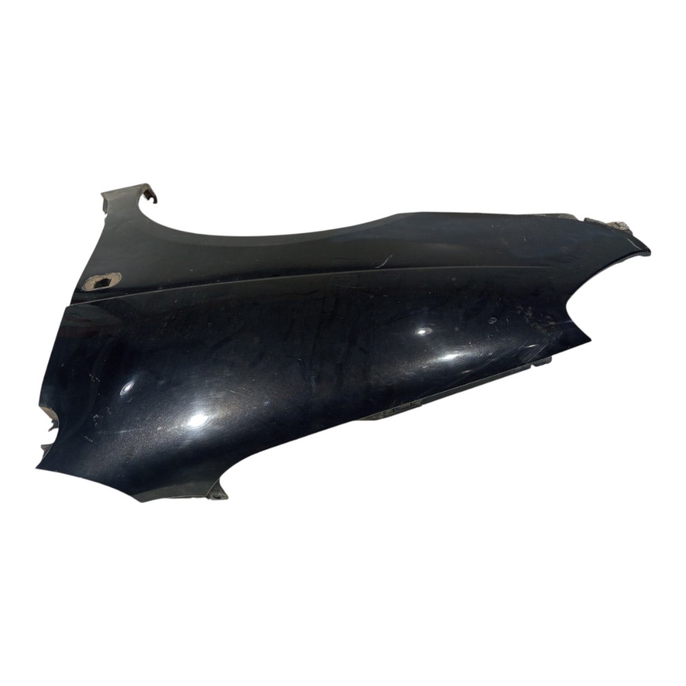 Paralama Preto Dianteiro Esquerdo Renault Scenic 2001 A 2012 1
