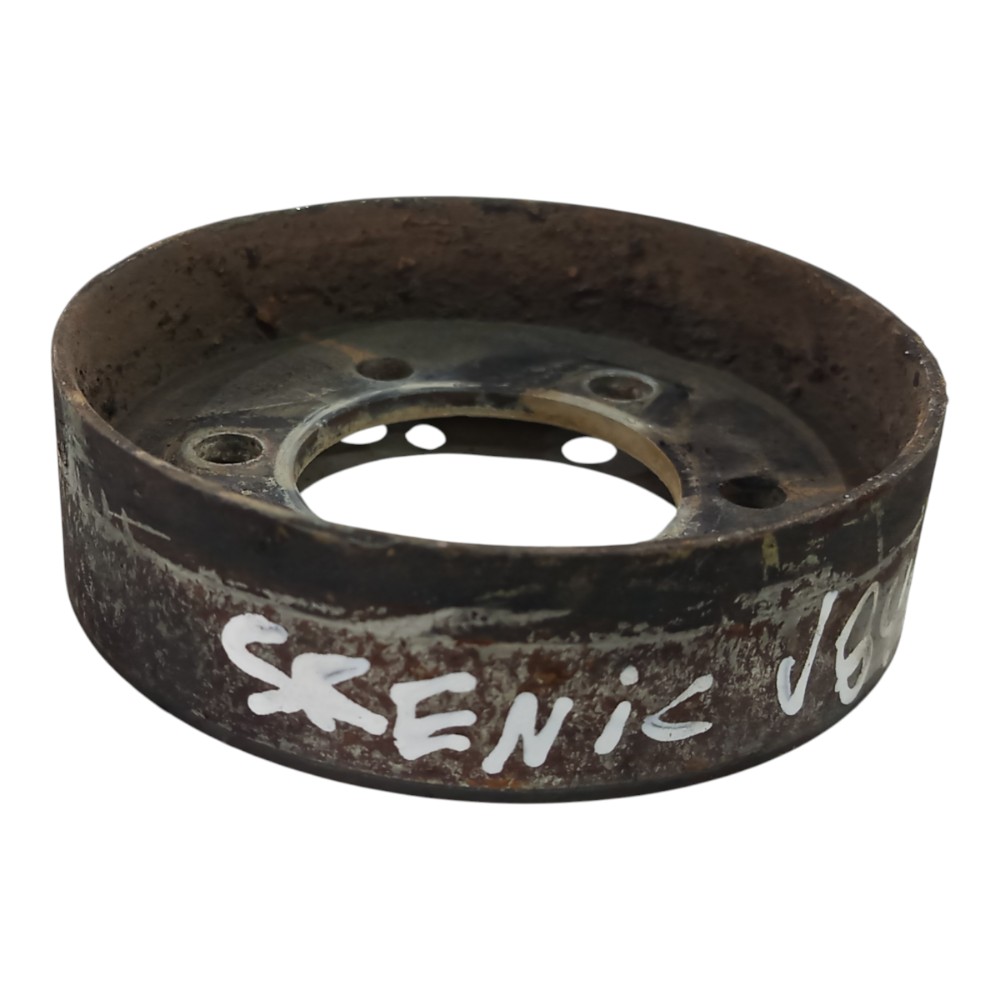 Polia Bomba Água Renault Scenic 2.0 1999 2000 2001 A 2006 5