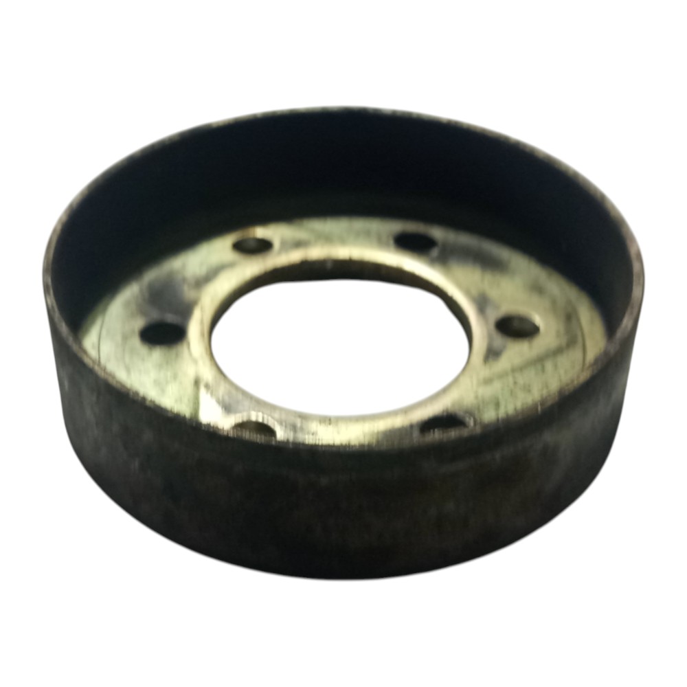 Polia Bomba Agua Renault Laguna 2.0 8v 1995 1996 1997 A 2001 4