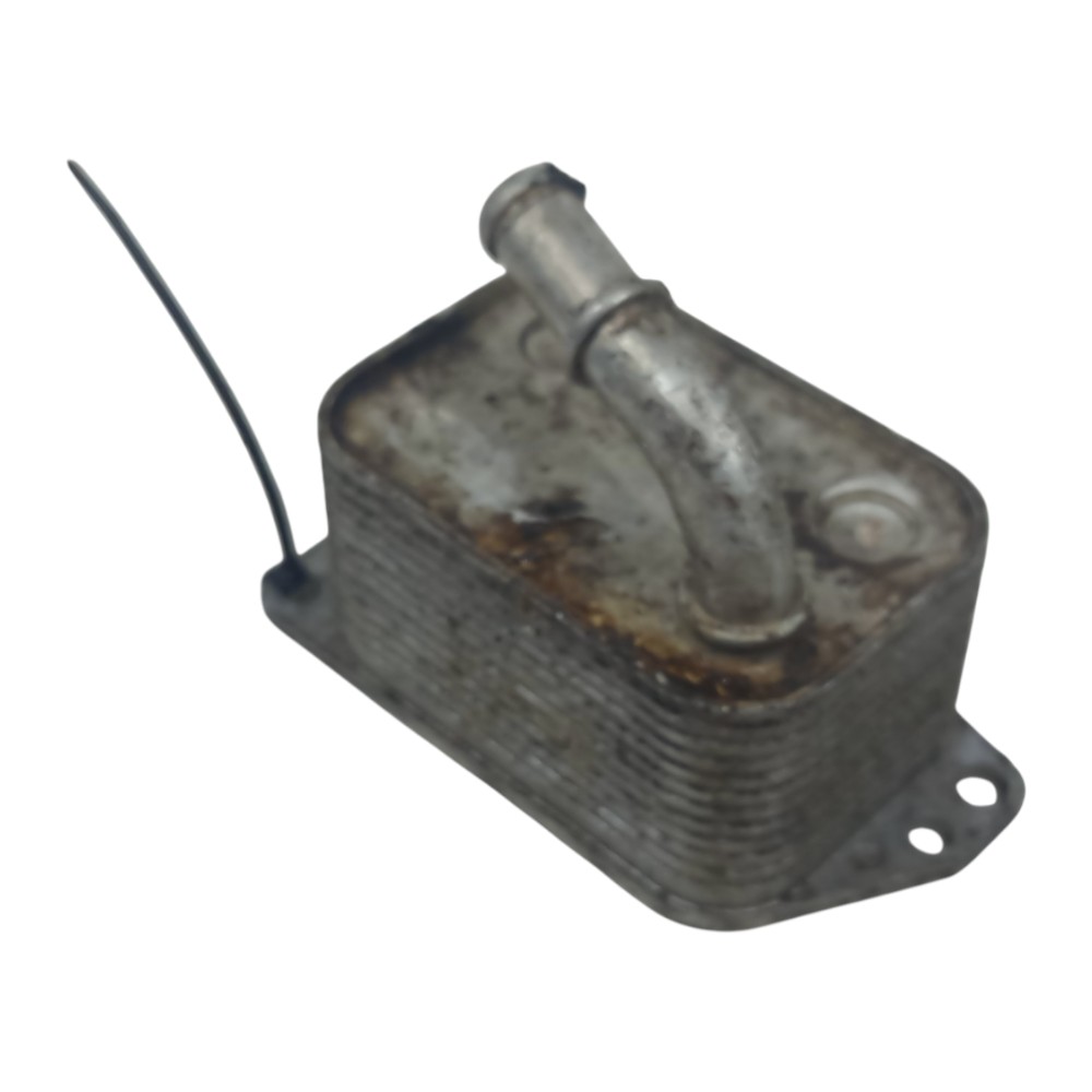 Resfriador Radiador Citroen C4 Picasso 2.0 2007 2008 A 2014 5