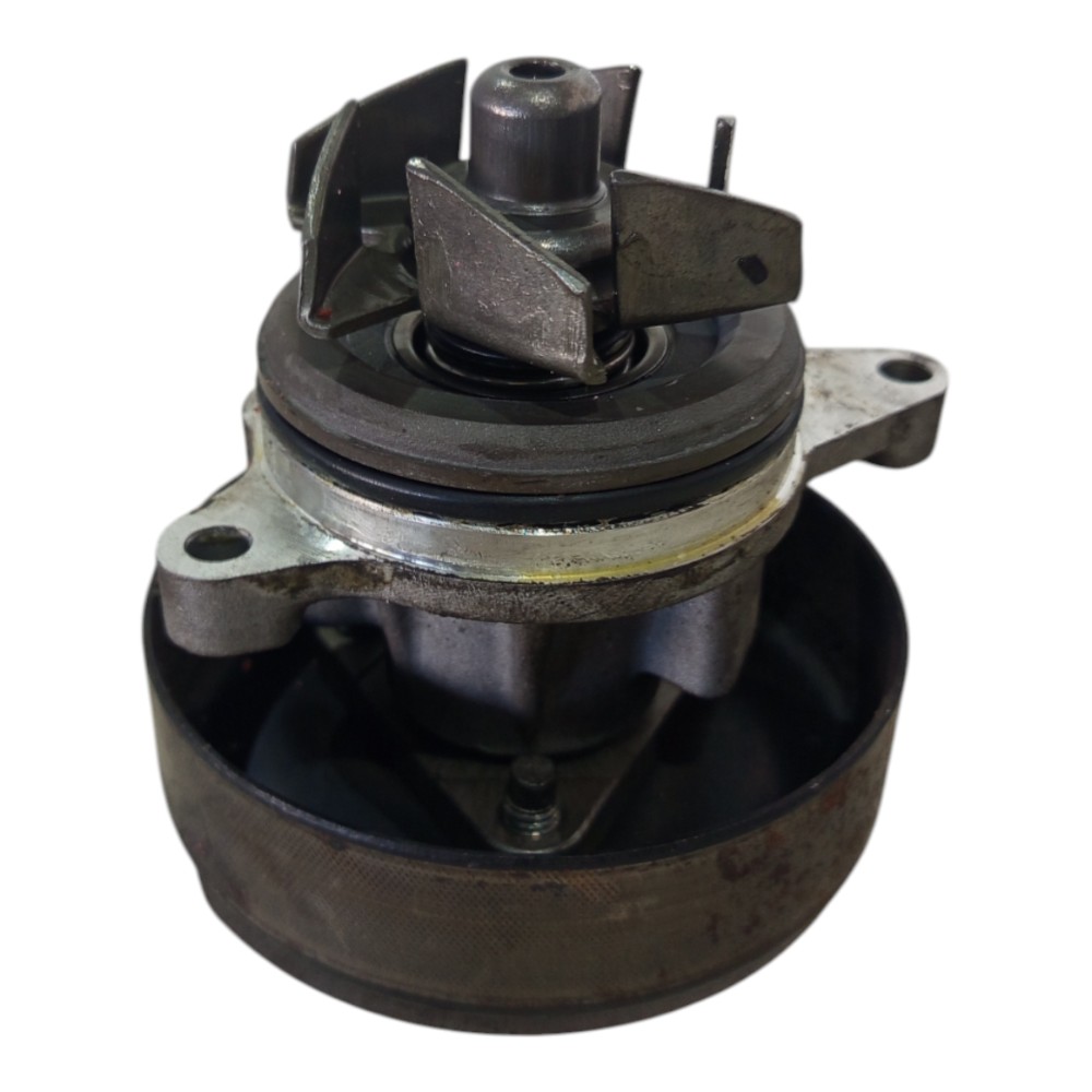 Polia Bomba Água Ford Focus 2.0 2012 A 2017 5