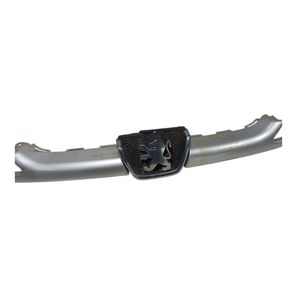 Grade Frontal Parachoque Dianteiro Peugeot 206 2007 Avarias 1