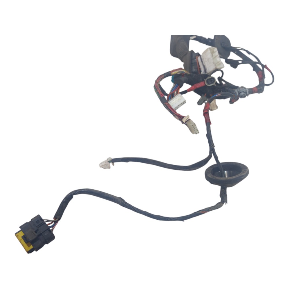 Chicote Porta Dianteira Esquerd Hyundai Santa Fé 2007 A 2013 5