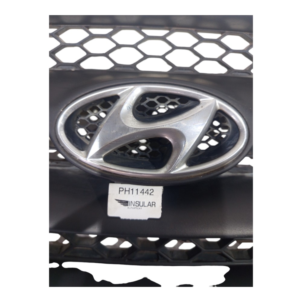 Grade Dianteira Hyundai Santa Fé 2008 A 2010 4