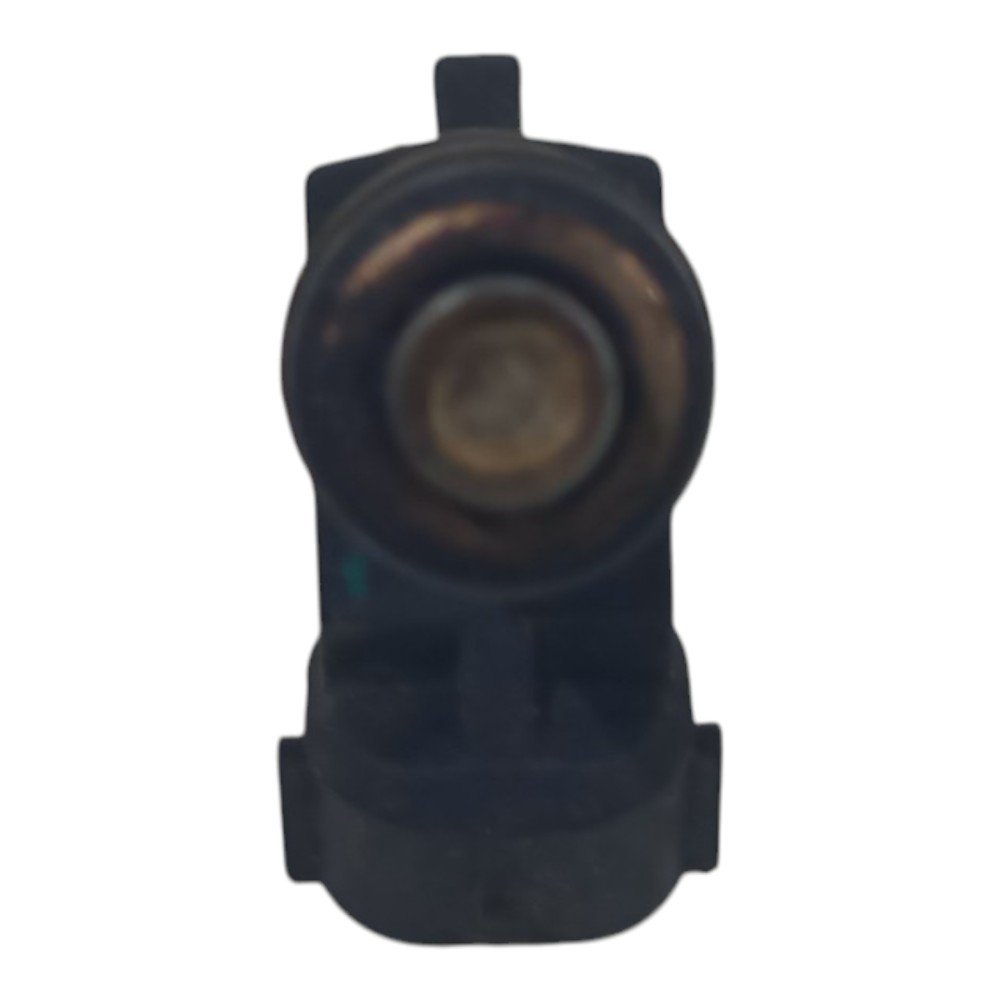 Bico Injetor Combustível Citroen C4 2.0 2005 2006 A 2010 6