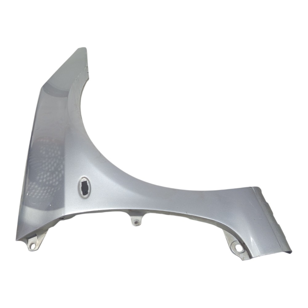 Paralama Prata Direito Peugeot 307 2005 A 2011 Detalhes 1