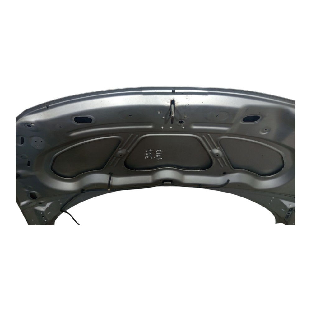 Capô Prata Peugeot 307 2005 2006 A 2011 Detalhes Avaria 6