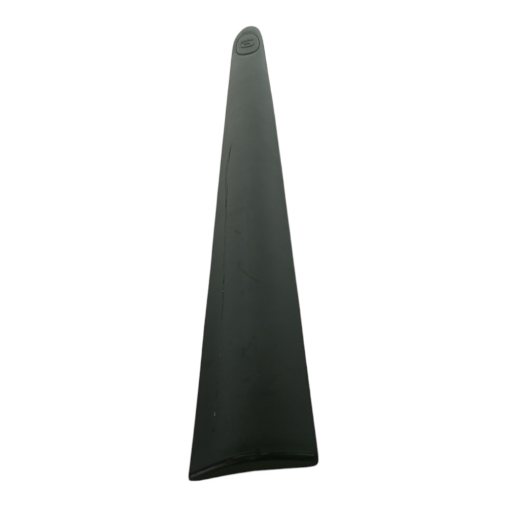 Friso porta dianteira esquerdo Renault Clio 2000 2012 4