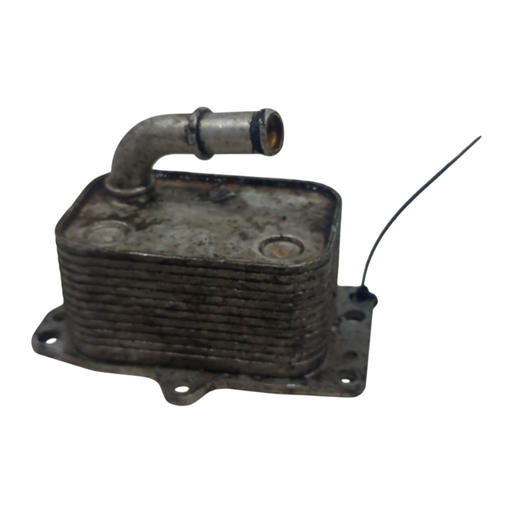 Resfriador Radiador Citroen C4 Picasso 2.0 2007 2008 A 2014 7