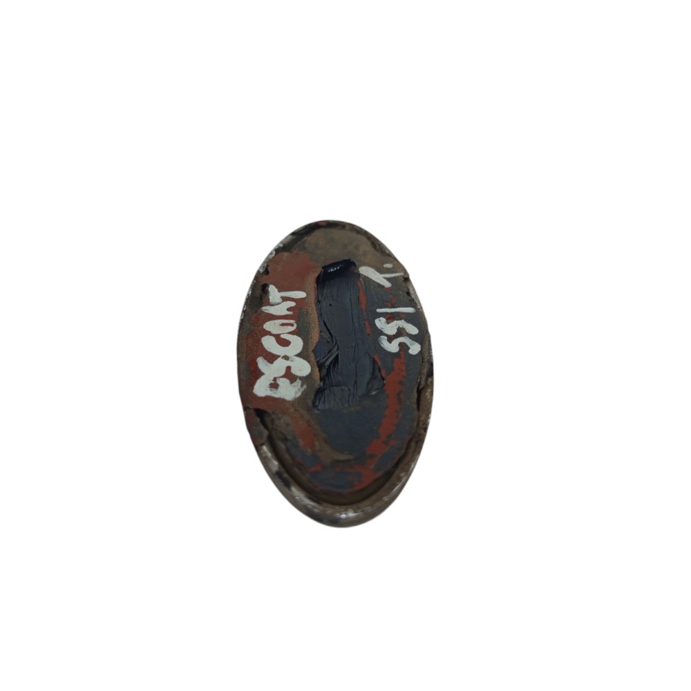 Emblema Tampa Traseira Ford Escort Gl 1998 1999 2000 A 2003 Azul 4