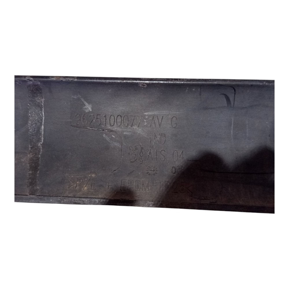 Friso Porta Le Pegeout 206 2001 2002 2003 2004 A 2008 Preto 5