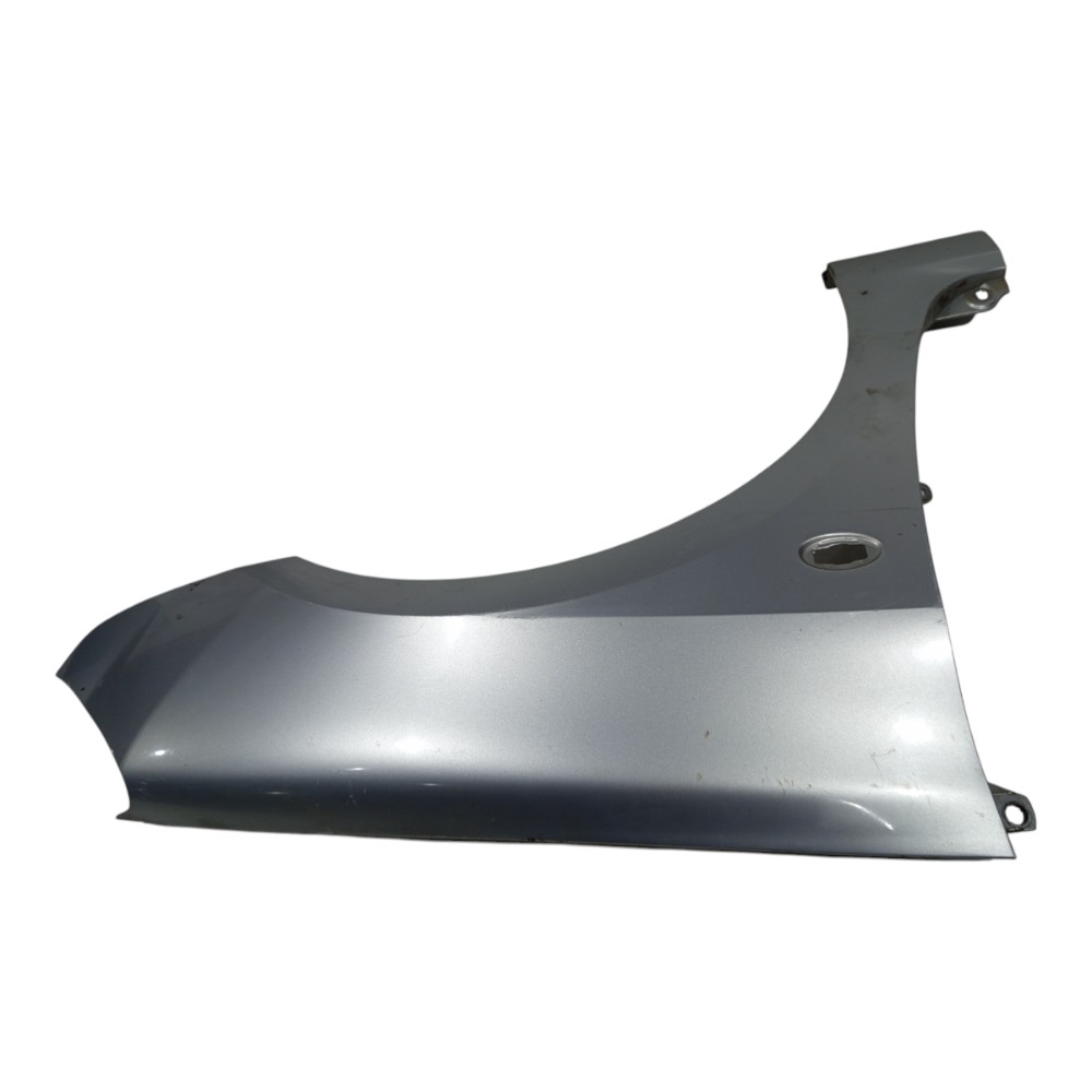 Paralama Prata Dianteiro Esquerdo Peugeot 307 2001 A 2012 3