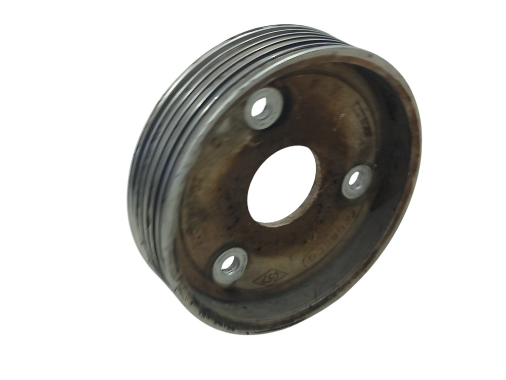 Polia Bomba Renault Scenic 2.0 1996  1997 1998 1999 A 2001 6
