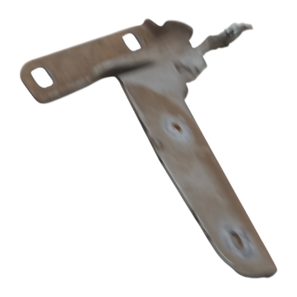Dobradiça Direito Tampa Diant Citroen C4 Pallas 2007 A 2013 1