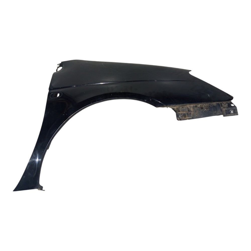 Paralama Dianteiro Renault Scenic Preto 2001 A 2011 10