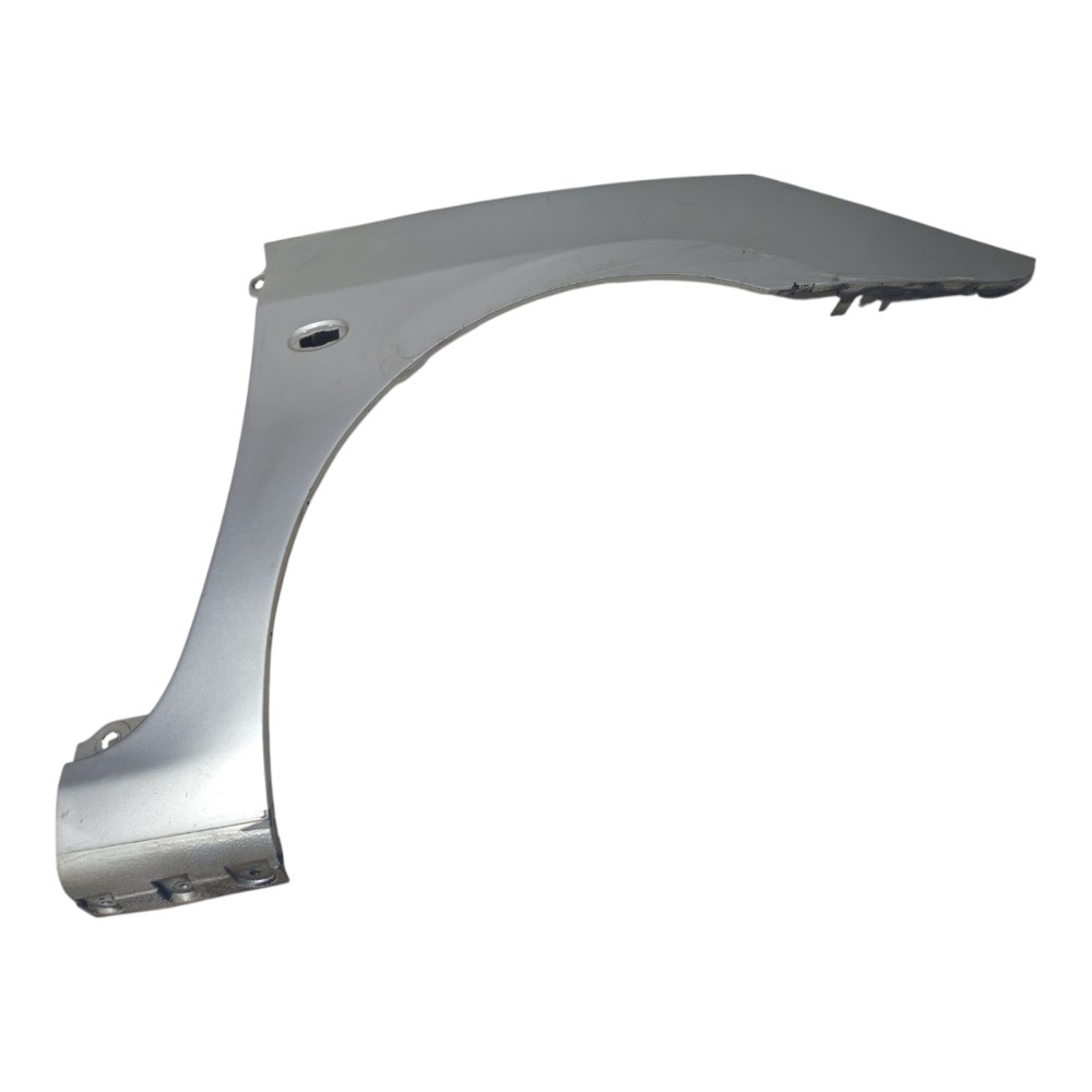 Paralama Prata Direito Peugeot 307 2005 A 2011 Detalhes 2