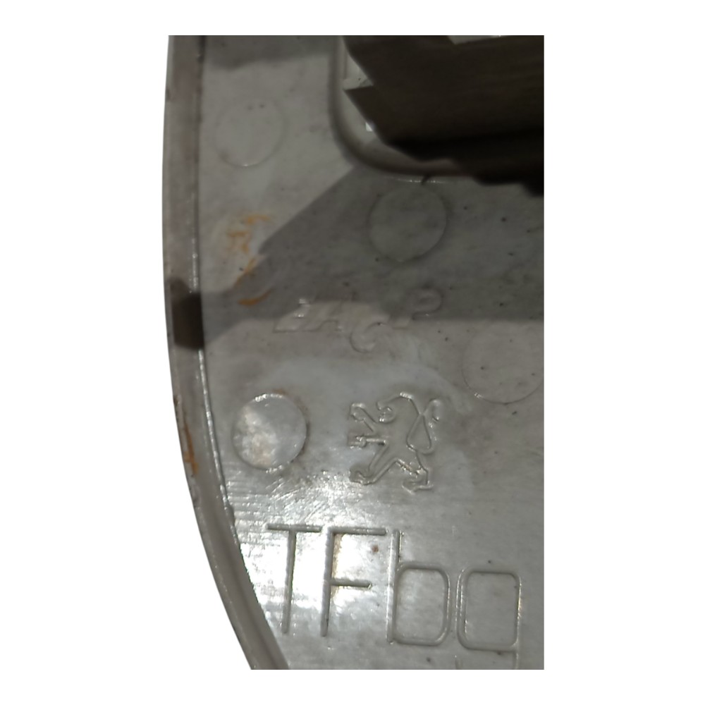 Moldura Luz Teto Cortesia Peugeot 206 207 2000 2001 A 2010 9