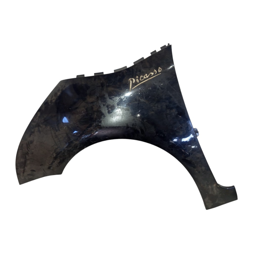 Para Lama Dianteiro Esquerdo Citroen C4 Picasso 2009 A 2014 2