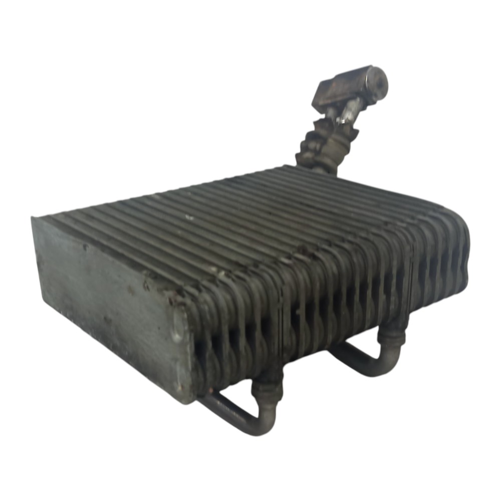 Evaporadora Renault Scenic 2.0 16v 1998 1999 2000 A 2010 1