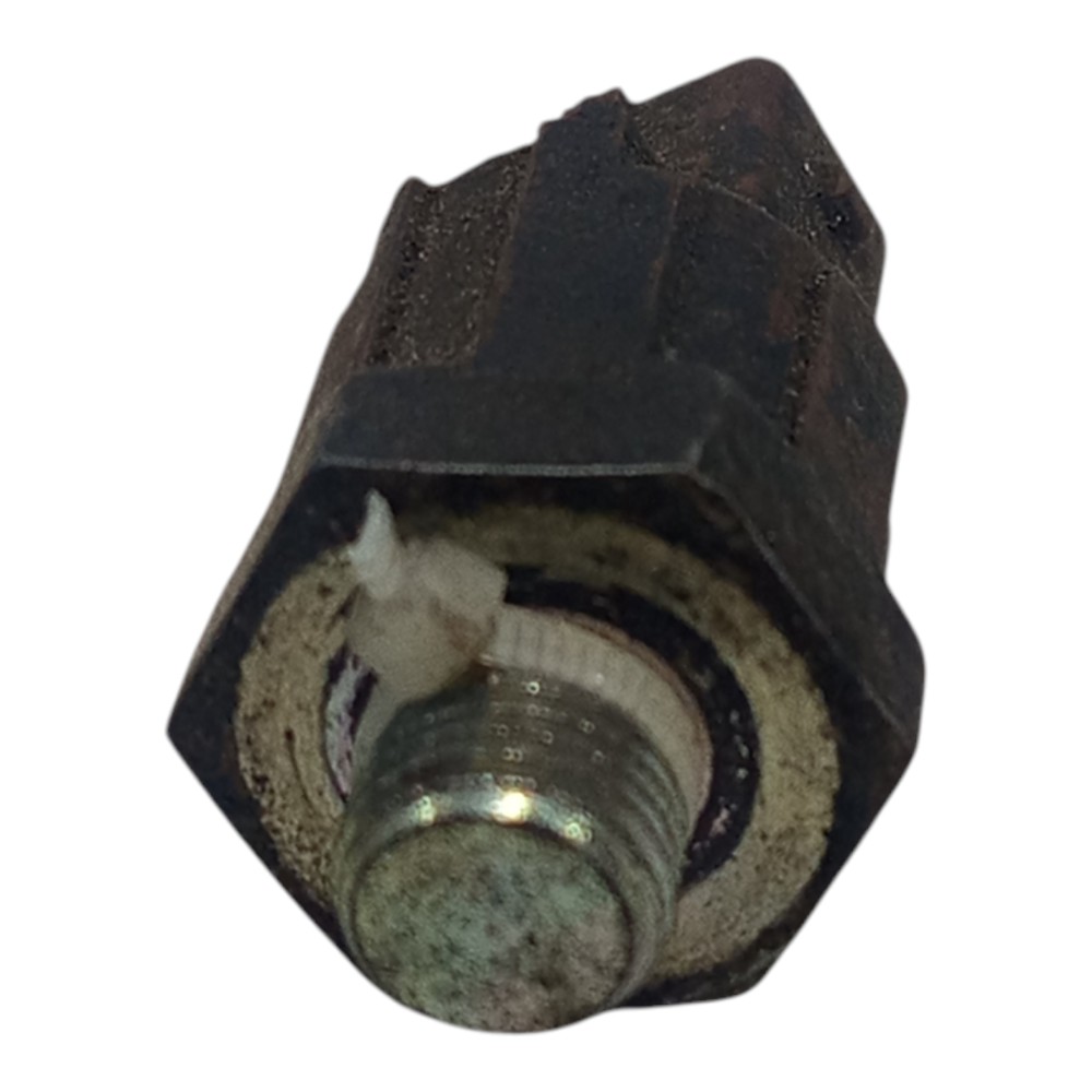 Interruptor Cebolinha Radiador Megane Scenic 1.6 1997 A 2000 4