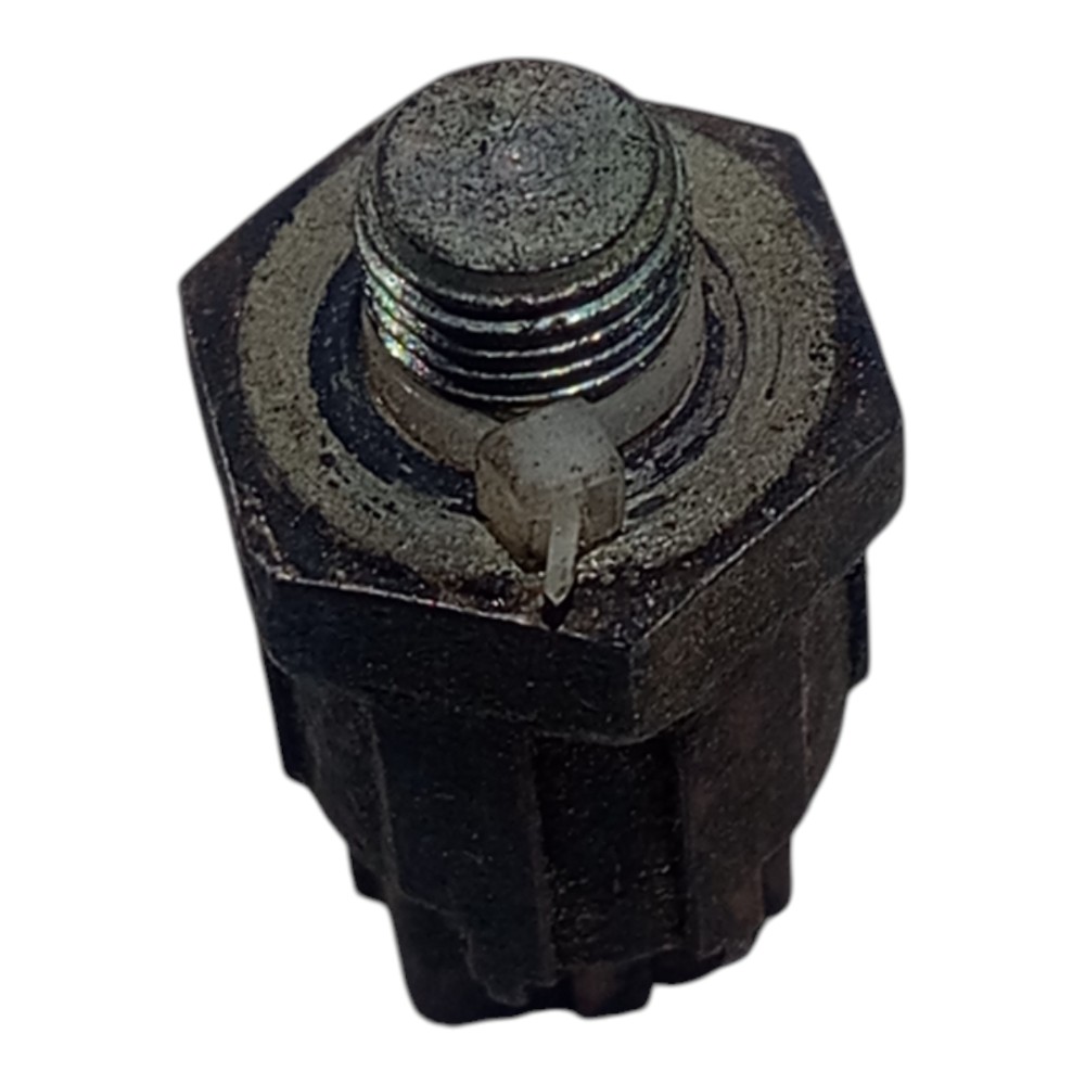 Interruptor Cebolinha Radiador Megane Scenic 1.6 1997 A 2000 3