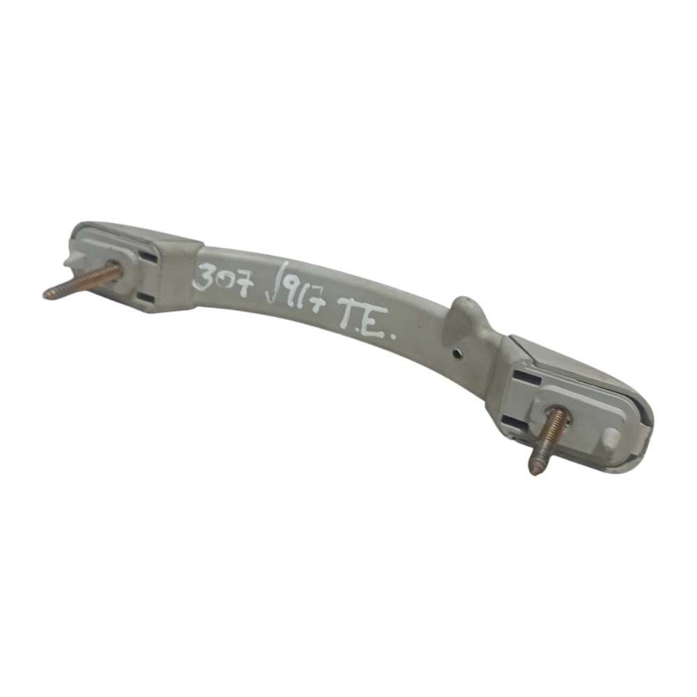 Alça Teto Pqp Traseiro Esquerdo Peugeot 307 2001 2002 A 2012 6