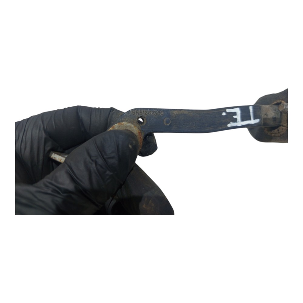Limitador Porta Traseira Esquerda Peugeot 307 2007 A 2012 3