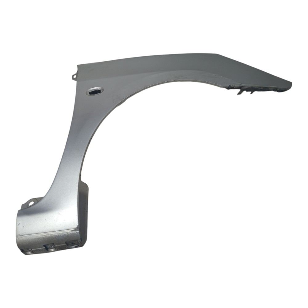 Paralama Prata Direito Peugeot 307 2005 A 2011 Detalhes 3