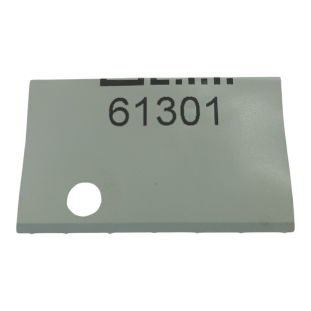 Friso porta dianteira esquerdo Renault Clio 2000 2012 6