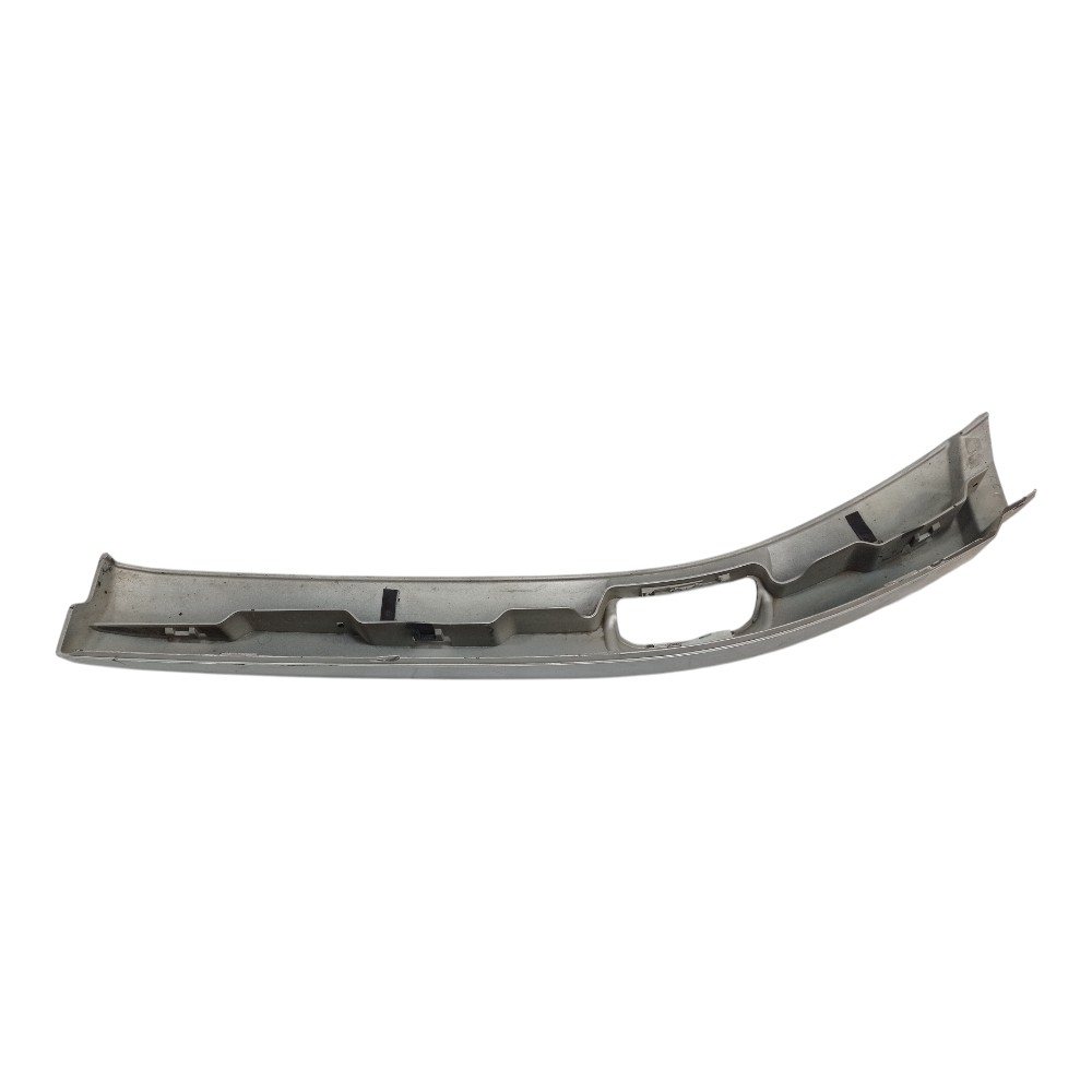 Moldura Prata Paralama Esquerdo Scania Ntg 4