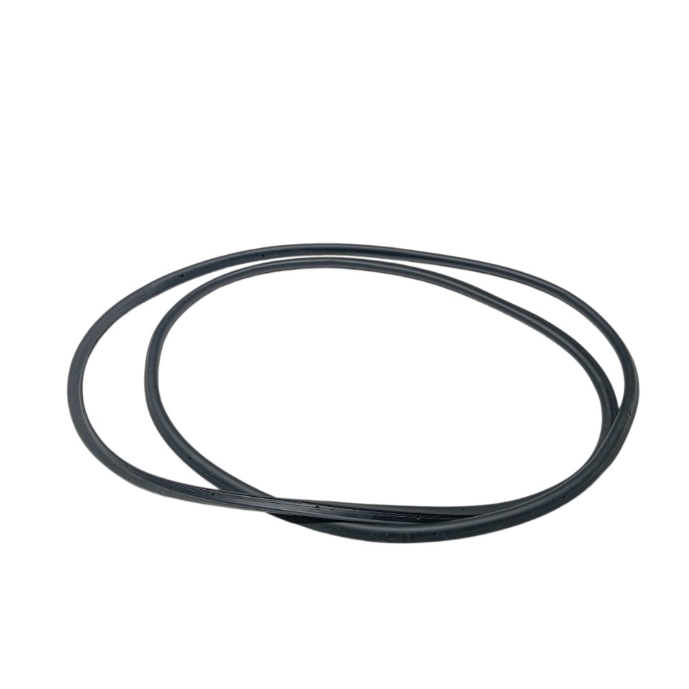 Borracha porta traseira esquerda Byd Song Pro 2025 V669 5
