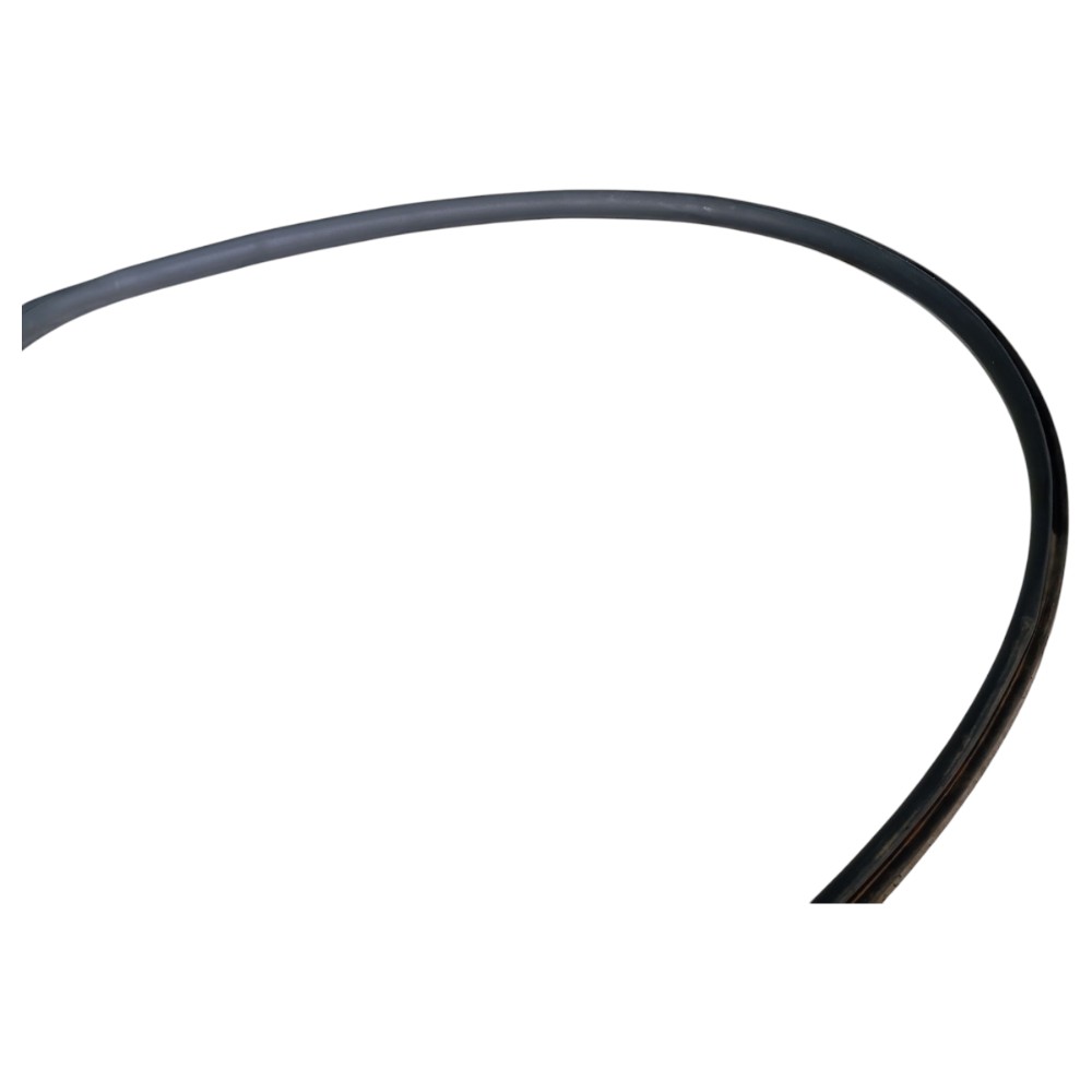 Pingadeira Porta Esquerda Byd Dolphin Gs 2024 2025 V653 2