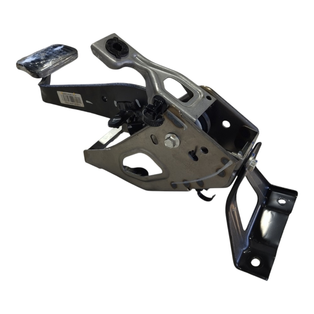 Pedal Freio Byd Dolphin Ev Gs 2024 V628 3