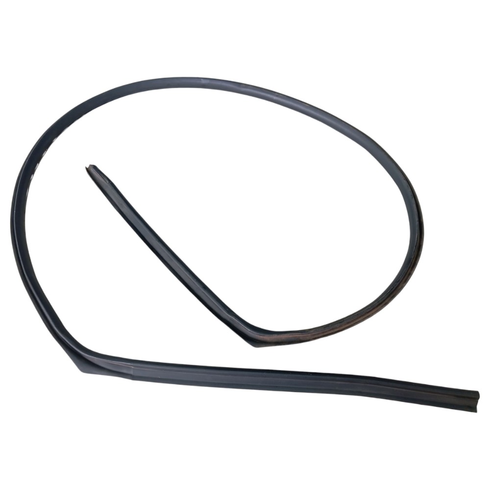 Pingadeira Porta Esquerda Byd Dolphin Gs 2024 2025 V653 7