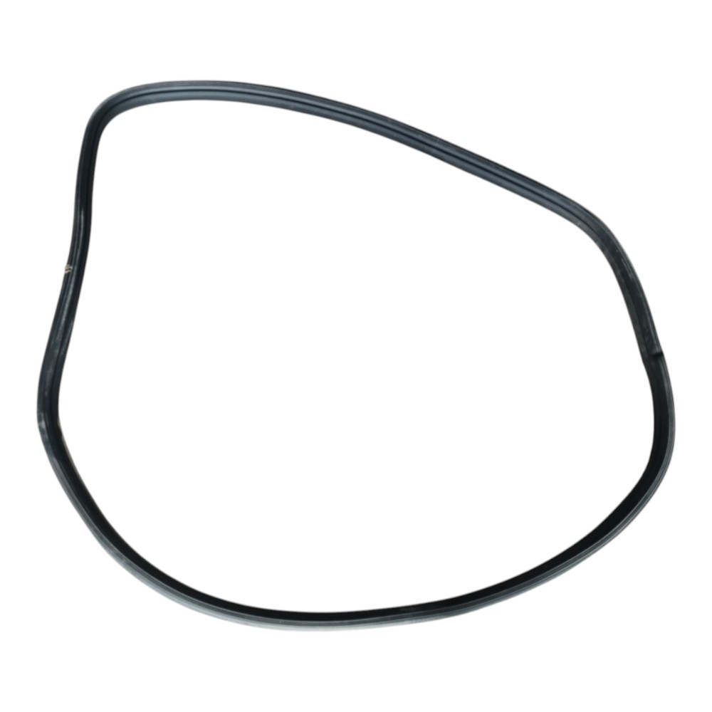 Borracha Porta Traseira Direita Byd Dolphin Gs 2024 25 V666 10
