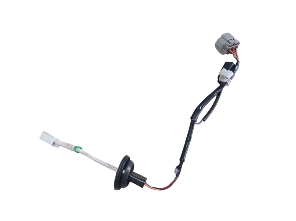 Chicote Lanterna Traseira Esquerda Rx500h Fsport 2023 V619 2