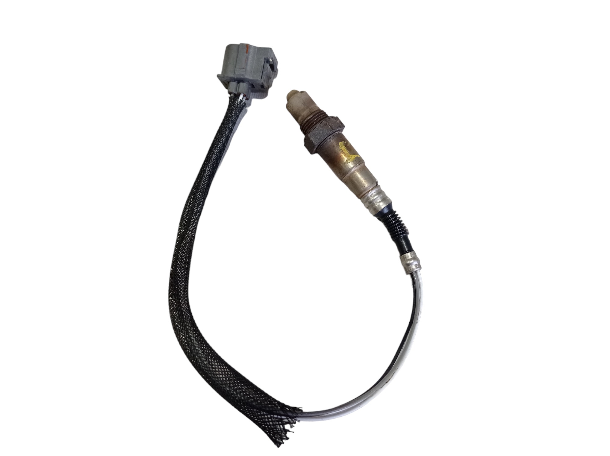 Sonda Lambda Primária Grand Caravan Limited 2005 V586 6