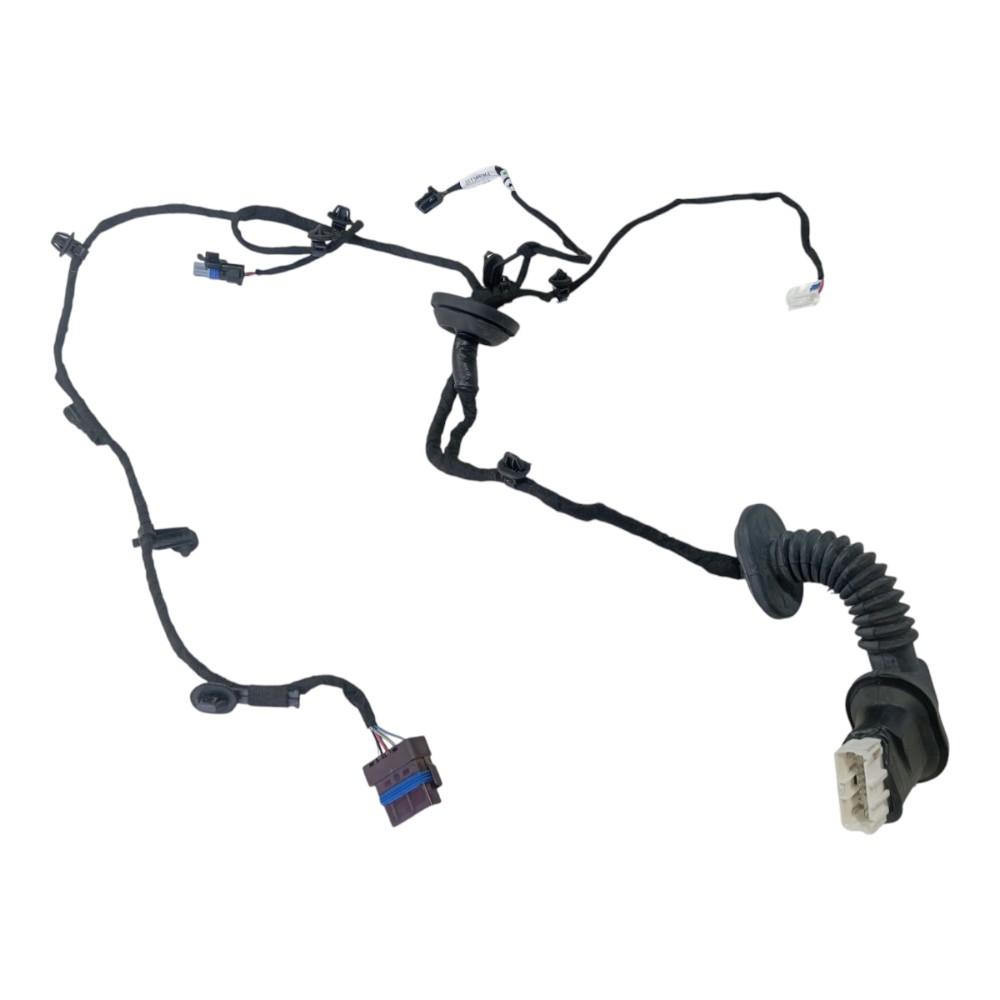 Chicote Porta Traseira Esquerd Byd Dolphin Gs 2024 2025 V628 6