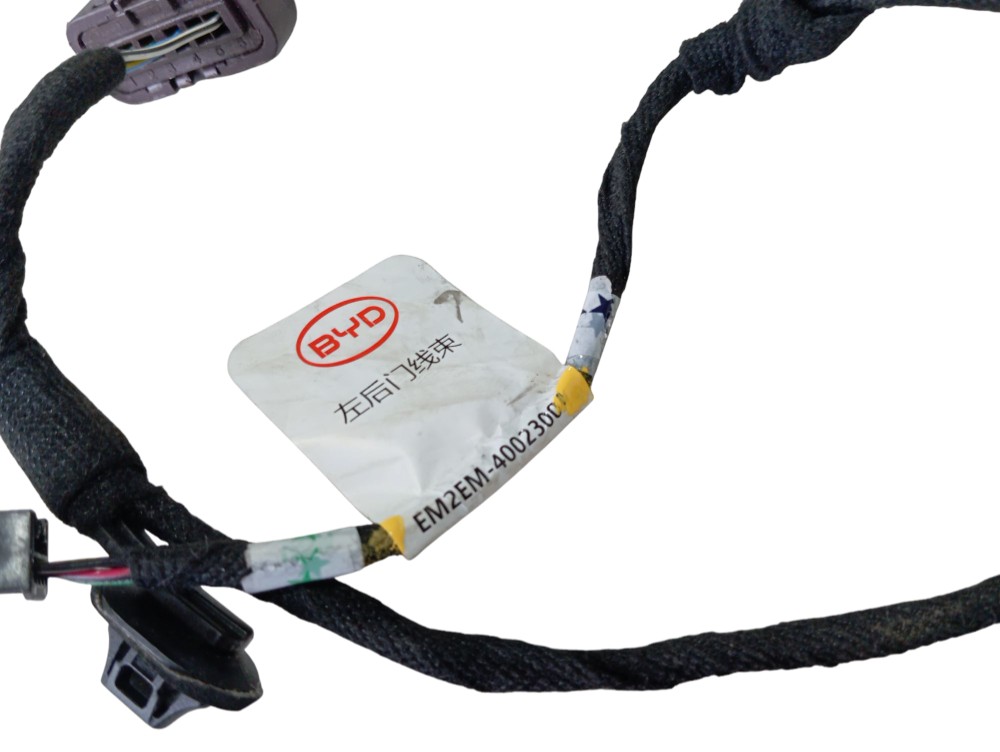 Chicote Porta Traseira Esquerd Byd Dolphin Gs 2024 2025 V628 6