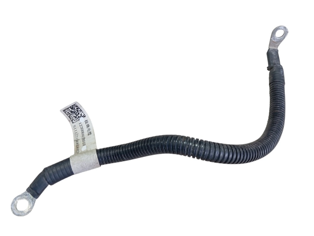 Cabo Aterramento Jac Iev40 2020 V615 3