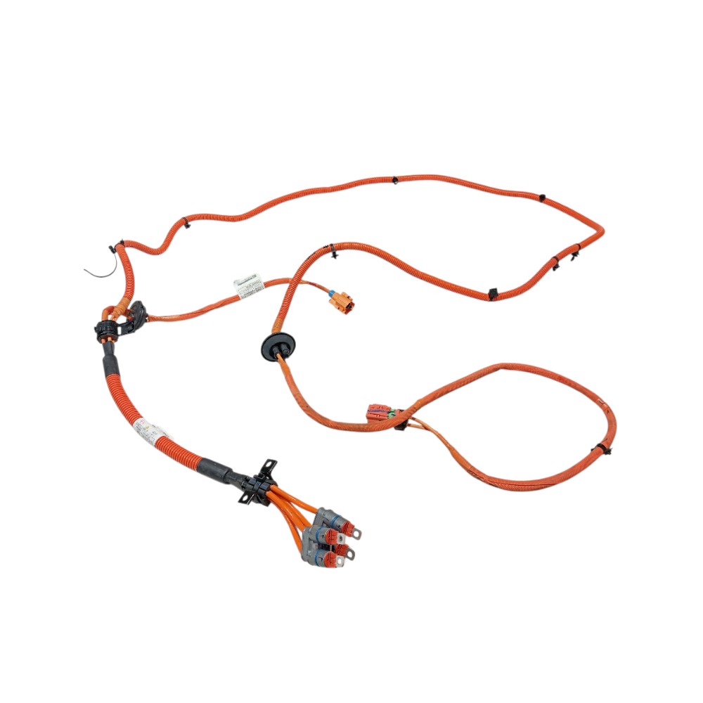 Chicote bateria Byd Song Pro 2025 V669 7