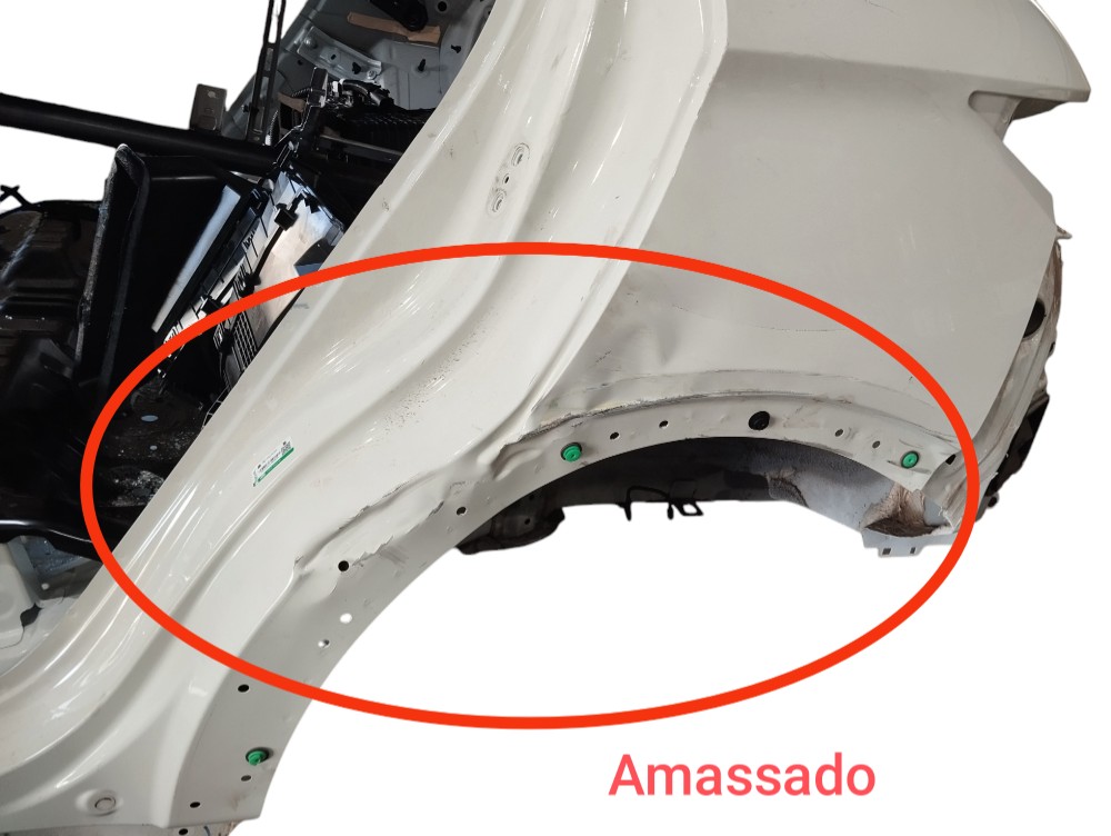 Traseira Com Teto Byd Dolphin Ev Gs 2024 V628 6