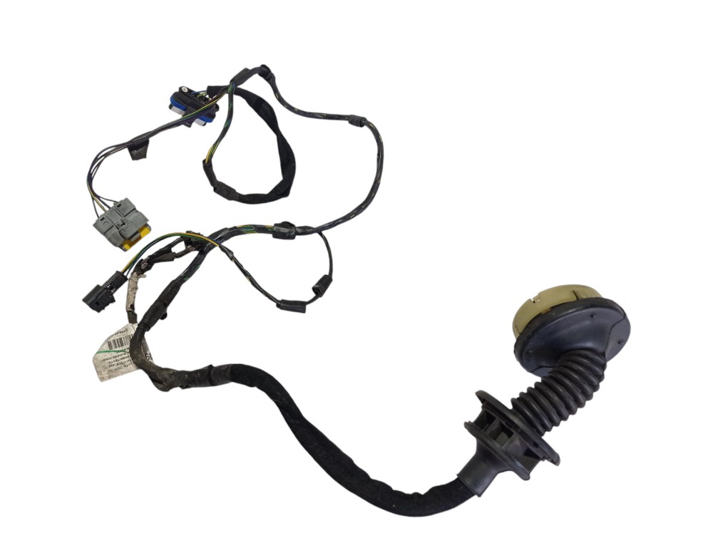 Chicote Porta Dianteiro Esquerdo Citroen C3 2006 1.4 V306 3
