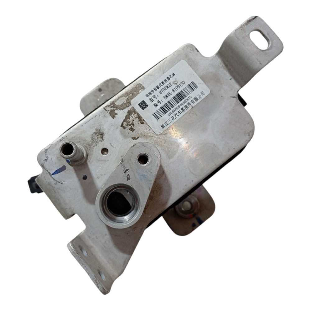 Resfriador Água Motor Byd Dolphin Gs 2024 2025 V666 3